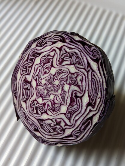 Cross section of a red cabbage with intricate patterns