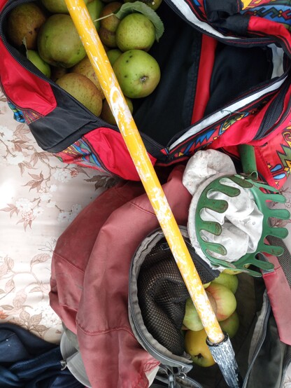 guerrilla fruit picking set, bags full of apples, fruit picker, telescop handle from painting