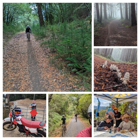 Collage of pictures from yesterday's ride