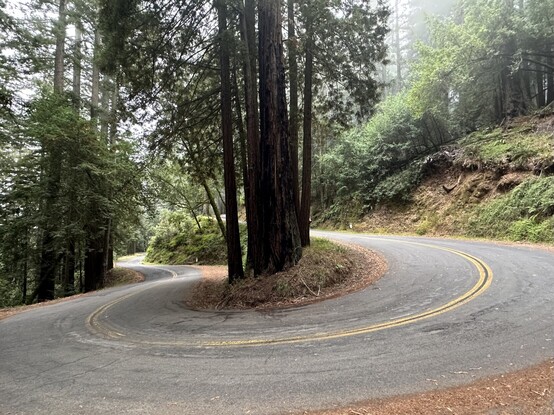 Photo of Fairfax-Bolinas road by Andrew Gentry Law