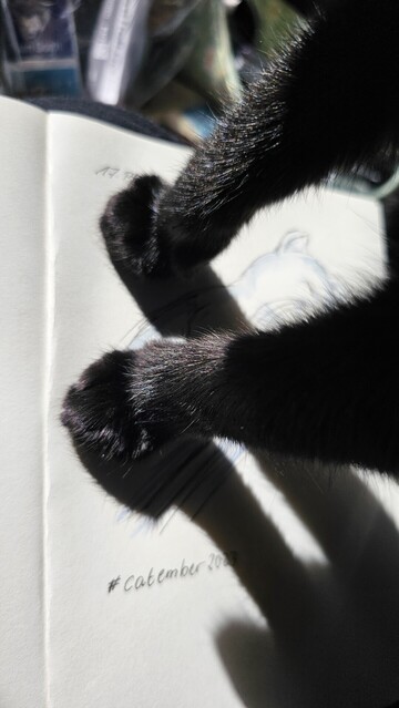 Foto: schwarze Katze Motte präsentiert ihre beiden Vorderpfoten auf dem Skizzenbuch im Sonnenschein