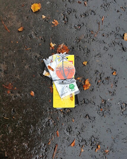 Litter. A discarded air freshener for a car. It is in the shape of palm trees and a sunset. There are some brown leaves scattered around it.