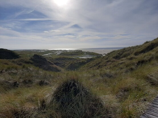 Foto in den Dünen an der Nordküste von Amrum. Man sieht viele hügelige Dünen, im Hintergrund Sandstrand und das Meer. Der Himmel ist blau mit weißen Schleierwolken.