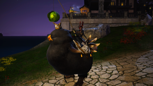 Rav riding on the back of the Fat Black Chocobo Mount, she has a fishing rod with a lettuce suspended from a rope to guide the Mount.