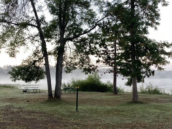 A lake with fog over it is visible behind large trees and bushes on the near shore. The far shore is faintly seen through the fog, with a faint glow from the sunrise that is behind the camera
