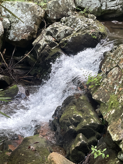 The splash of water over lichen-bedecked stone