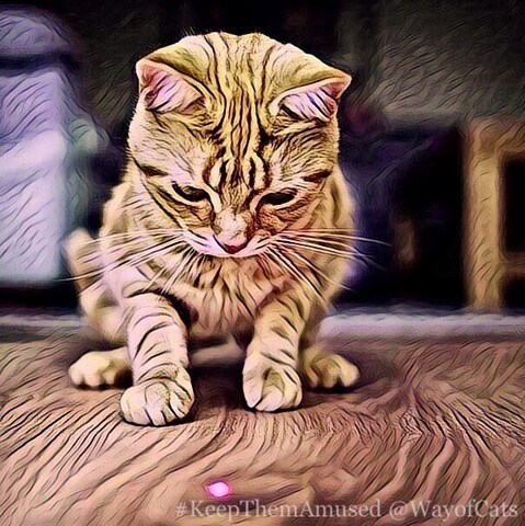 A tabby cat on a wooden floor looking intently at the red dot of a laser pointer with an arti filter emphasizing the lines of objects, illustrating The Laser Pointer: Unbeatable Foe.