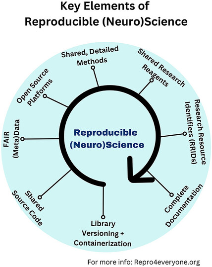 Key elements of reproducible (neuro)science. Graphical illustration of a circular arrow with offshoots around it, showing which are the critical ingredients that make a paper or research project reproducible and replicable (Auer et al., 2021). Library versioning refers to the practice of assigning unique identifiers (usually numbers or names) to different releases or versions of a software library. Containerization is a technology that allows developers to package an application and all its dependencies (such as libraries and configurations) together into a single unit called a “container.” The other factors are Shared Source Code, FAIR meta data, open source platforms, shared, detailed methods, Shared Research Reagents, Research Resource Identifiers (RRID), and complete documentation.  More information can be found at: www.repro4everyone.org.