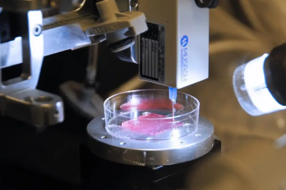 UK 3D Bioprinting To Help Astronaut Health