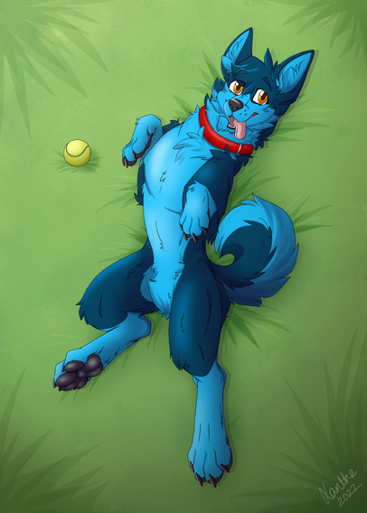 A digital drawing of a blue coloured husky, lying on his back in some grass as if awaiting belly scritches.