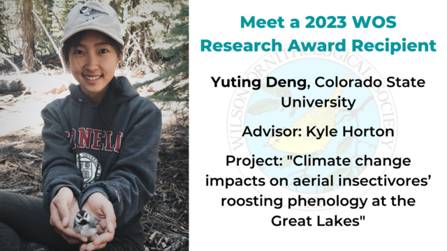 Meet a 2023 WOS Research Award Recipient! Yuting Deng, Colorado State University  Advisor: Kyle Horton  Project: "Climate change impacts on aerial insectivores’ roosting phenology at the Great Lakes"
