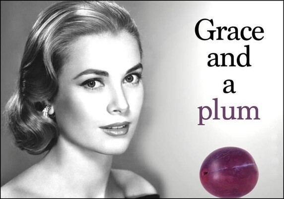 Image of Princess Grace of Monaco on the left and a plum on the right. The caption: “Grace and a plum”