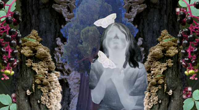 Photo montage of various organic materials in symmetrical layers. Central figure is ghostly figure of girls with moths at hands and overhead.