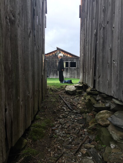 between the walls of two barns, a woman  with white hair stands in profile