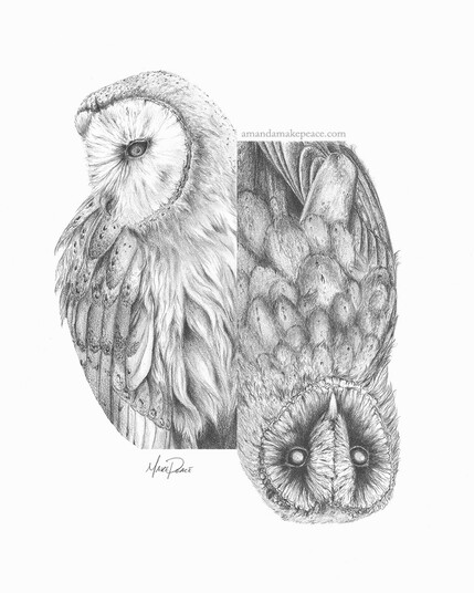 Art: Two Barn Owls, one light (Dawn) right side up and one dark (Dusk) inverted. Similar to a suit card in a playing card deck.