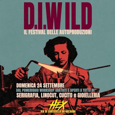 D. I. WILD - festival delle autoproduzioni