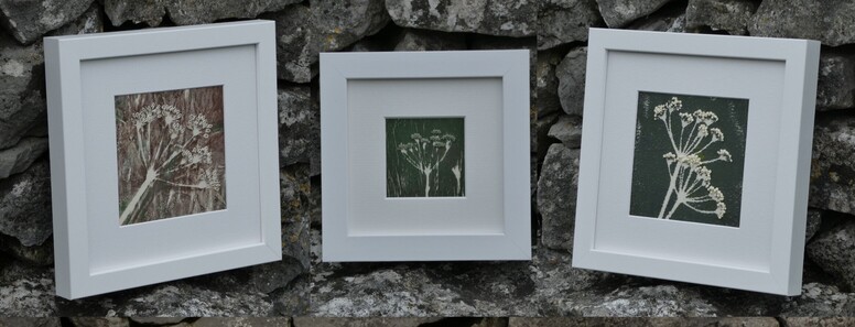 Three framed artworks depicting umbelliflorae sat against a stone wall.