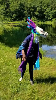 A video of a skull faced raptor costume with a feather crest, being worn by a person roving around a field.