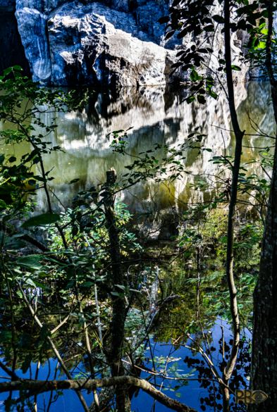 A bright, sunny lit cliff in the upper part of the photo, in the background, rises from water stretching all the way downward. It is a mirror for the cliff, the trees that grow beyond the image above it as well as the blue sky. All is reflected in the lower part of the photograph. Some slender tree trunks and some vegetation in the foreground make it difficult to distinguish what grows where.