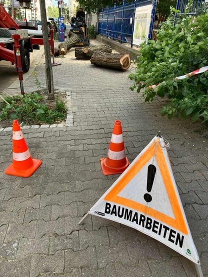 Blick einen Gehweg hinunter. Im Vordergrund ein Warnschild „Baumarbeiten“ und Warnhütchen. Ein zersägter Baumstamm. Im Hintergrund ein Arbeiter auf einem Fahrzeug.