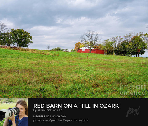 An Ozarks farm with a red barn on a hill in Ozark, Missouri during the autumn fall season.