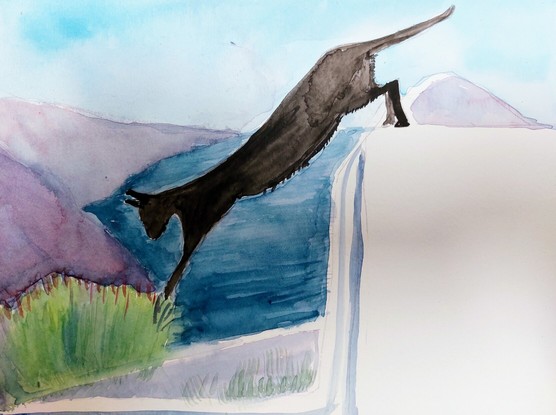 A black cat jumping down from a white ledge onto a bush with sea and a leg of land in the distance.