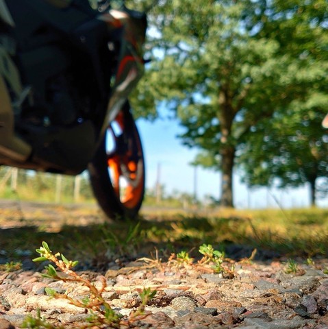 a motorcycle stand beside a road, gravel in front is in focus