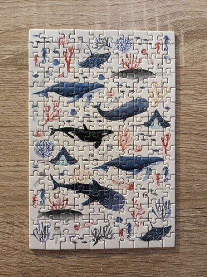 Puzzle de 150 pièces représentant différentes espèces de cétacés, de coraux, des raies, des petits poissons et des méduses sur fond blanc