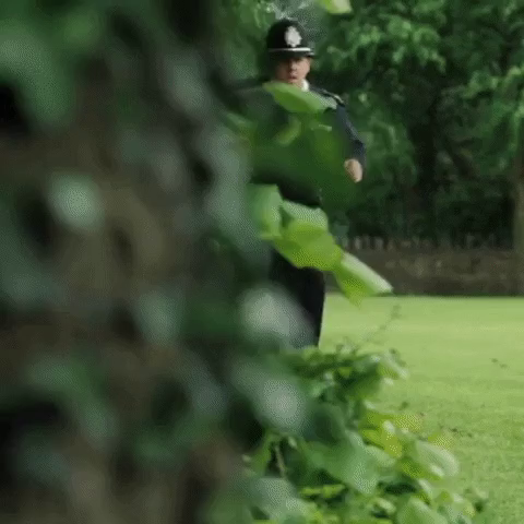 Extract from the film Hot Fuzz with two main policeman characters trying to catch a criminal swan