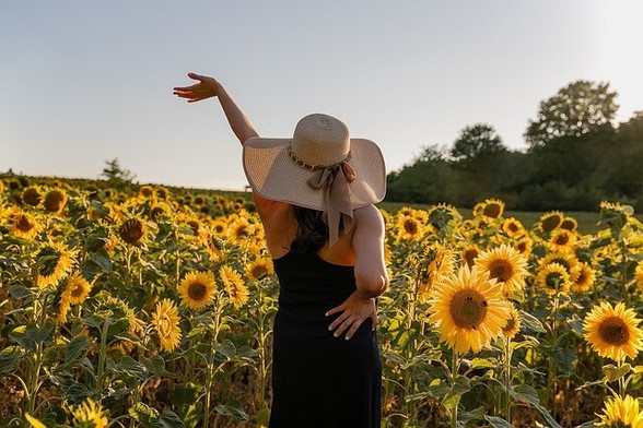 Woman in a black sundress and straw hat in a field of sunflowers