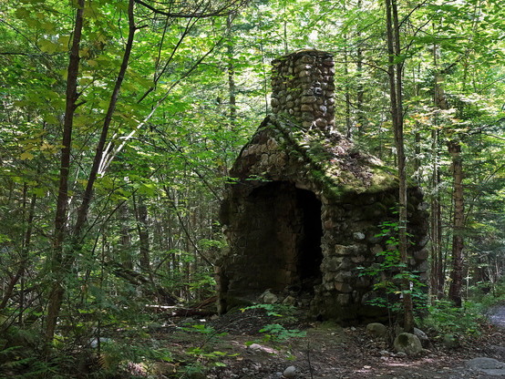 A small old stone building with an open front and a large stone chimney. Young trees are growing around it and thick moss layers are covering the stones.
