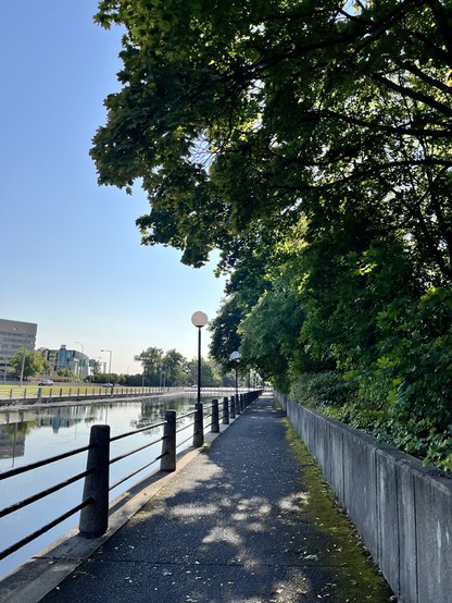 Blue sky and trees frame the Rideau Canal and the path alongside it