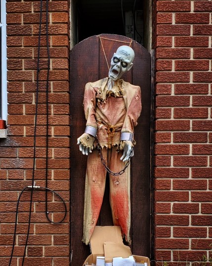 A wider shot of the same halloween display featuring a ghoul with a blueish complexion hanging on a wooden gate. His body is visible in the shot. His head leans to the right, eyes turned upwards, mouth is agape in an expression of dismay. He wears a tattered, faded red shirt with a rope tied around his waist. His arms are shackled with chains and cuffs. 
Below him is the top of a recycle bin. Cardboard onscures the ghoul's feet. A red brick wall is seen on both the left and right of the gate.