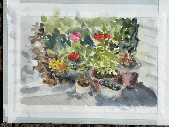 Watercolor painting, landscape format tangle of pots and plants in my front steps soaking up the afternoon light splurging on the last red, pink and yellow flowers amidst so many greens