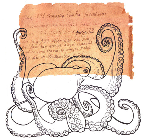 A drawing of an octopus, made with ink, on mixed media paper, half of the paper is sepia and has an old manuscript text in Spanish.
