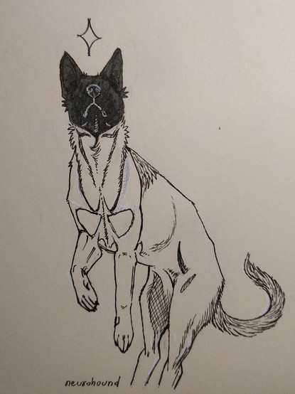 An ink drawing of a floating middle-size shorthaired pointy-eared dog with a simple star above its head. The dog is looking up, its whole head is void, its liplines and nose are outlined in white.