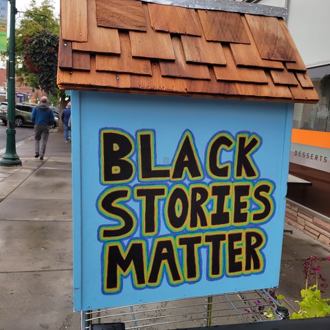 Photo of the side of a little free library painted with the words BLACK STORIES MATTER.