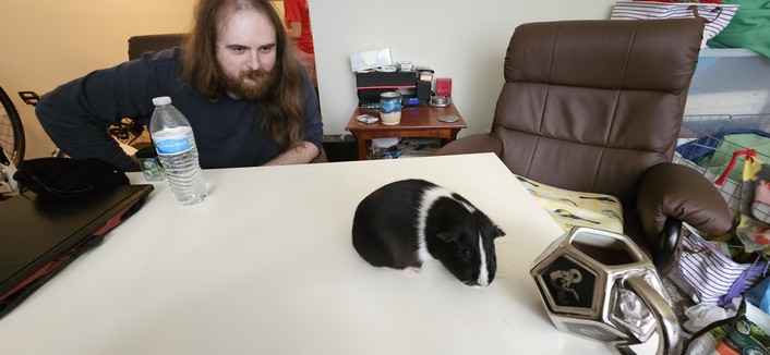 Oreo (bottom left) participating in a dnd session