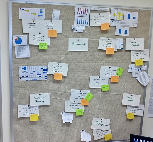 Picture of pinboard in an office with multiple index cards, coloured post-it notes and graphs Interconnected with an intricate web of string/cotton.