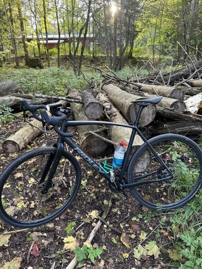 Found some rotten logs on my ride