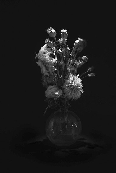 A vase of dying flowers in black and white