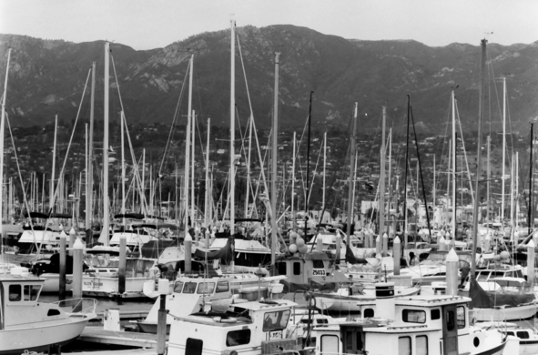 In Santa Barbara Harbor, with rhe mountains in the background, a tangle of sailboat masts, 1994
