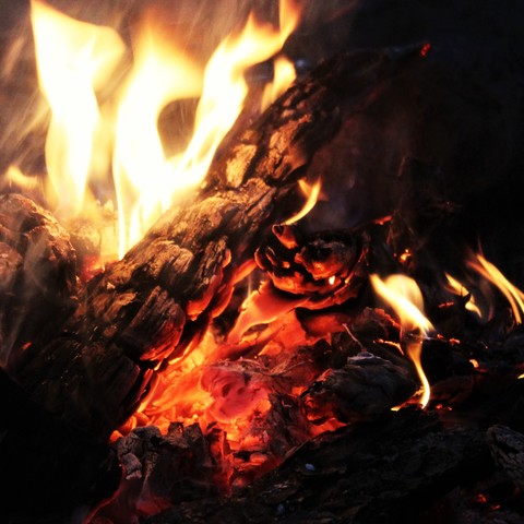 Image Description: Bright orange coals and black charcoaled wood give life to yellow flames of a campfire.