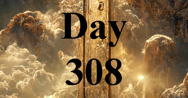 Day 308
