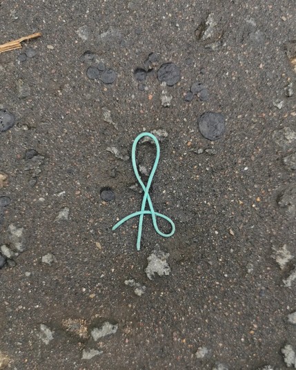 Litter. A turquoise piece of thread.