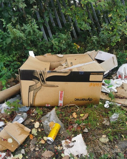 Litter. A flytipped area of undergrowth. A large cardboard box has the word "dynamic" on it and a sticker saying "fragile".