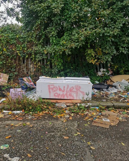 Litter. A large area of flytipping. A fridge lying on its side has the name "Fowler" spray painted on it in red.