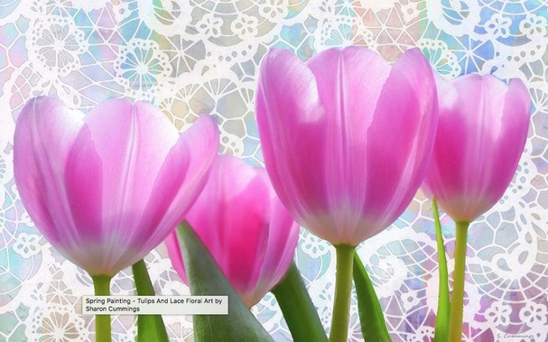 pink tulips with lace background by artist and poet Sharon Cummings.  Haiku in post.