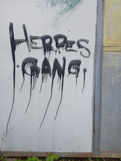 Graffiti tag, black spray paint on a white door, dribbling paint from some letters. 
The tag reads 'HERPES GANG'