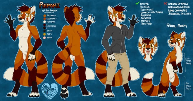 digital art of a Red Panda Fox hybrid made up for a reference that explains the character. Shows front, back, feral, and clothed versions.